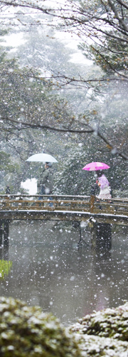 japanese gardens